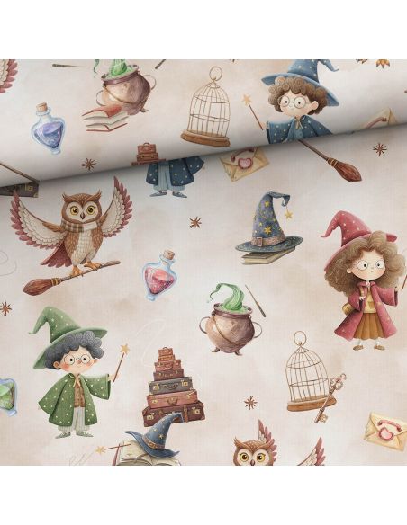 Tissu sweat - Sorciers et hiboux