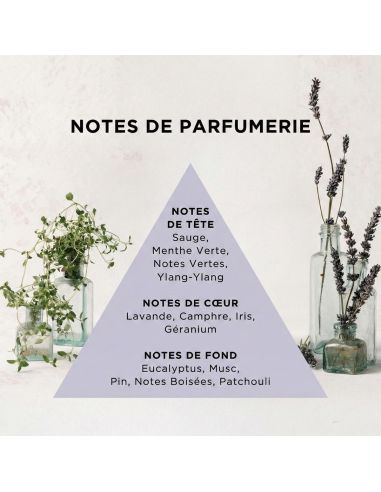 Spray rafraîchissant pour tricots – Lavande & Thym