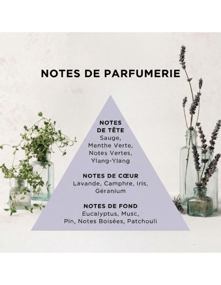 Spray rafraîchissant pour tricots – Lavande & Thym