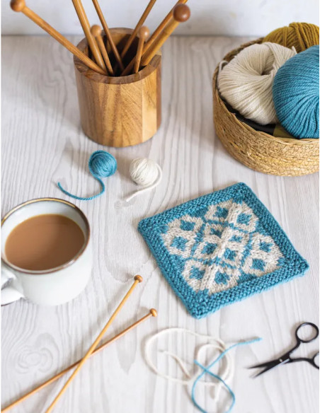 Livre 50 carrés pour débuter au tricot