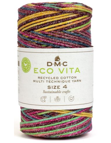 Coton recyclé Eco Vita 4 Multicolor DMC