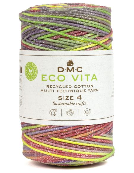 Coton recyclé Eco Vita 4 Multicolor DMC