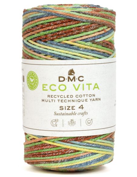 Coton recyclé Eco Vita 4 Multicolor DMC