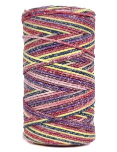 Coton recyclé Eco Vita 4 Multicolor DMC 2