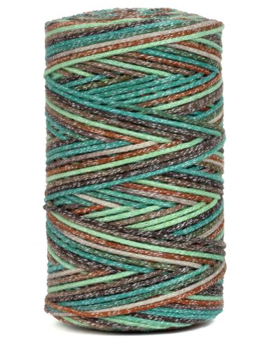 Coton recyclé Eco Vita 4 Multicolor DMC