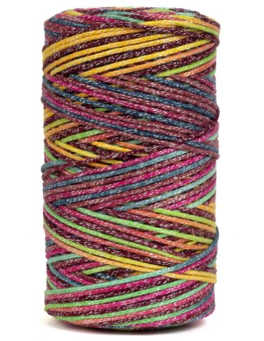 Coton recyclé Eco Vita 4 Multicolor DMC