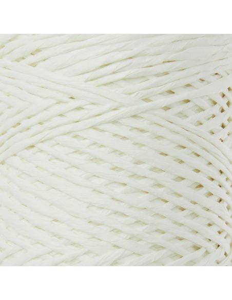 Fil Luxury Raffia Paper Rico Design
