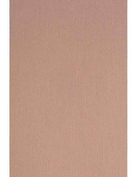 Tissu coton chino stretch Skin Tone - Atelier Brunette