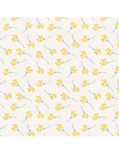 Nappe toile cirée Captain Cook Mimosi - Vanille