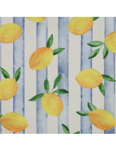 toile-de-coton-canvas-citrons