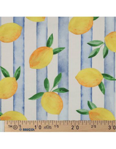 toile-de-coton-canvas-citrons