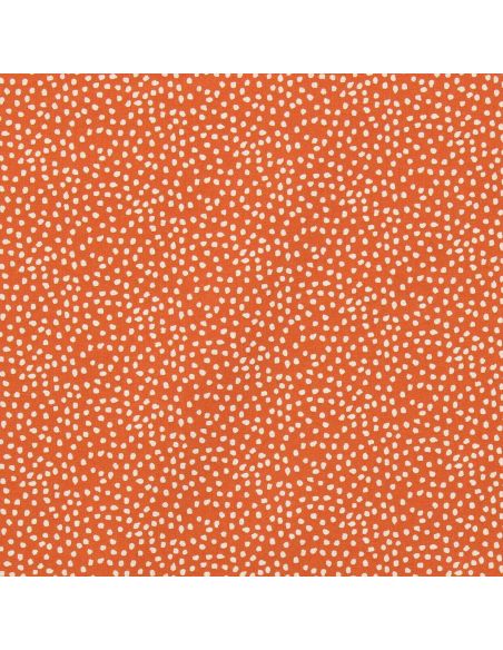 Tissu popeline de coton - Tassi orange et blanc