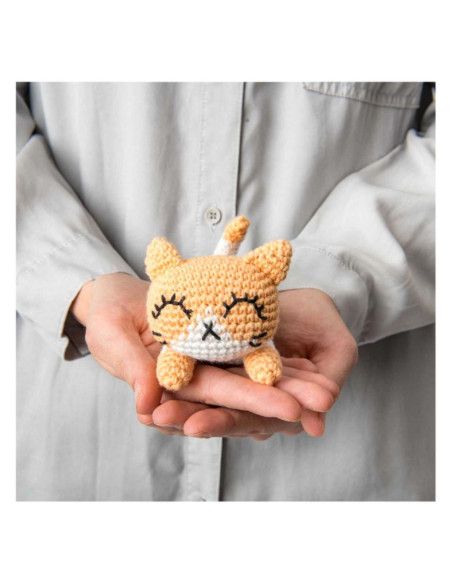Libro Ricorumi Pocket Pals