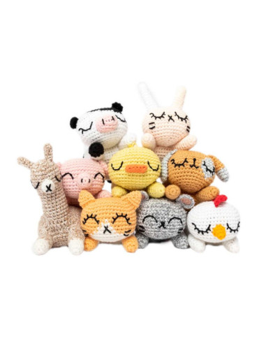 Libro Ricorumi Pocket Pals