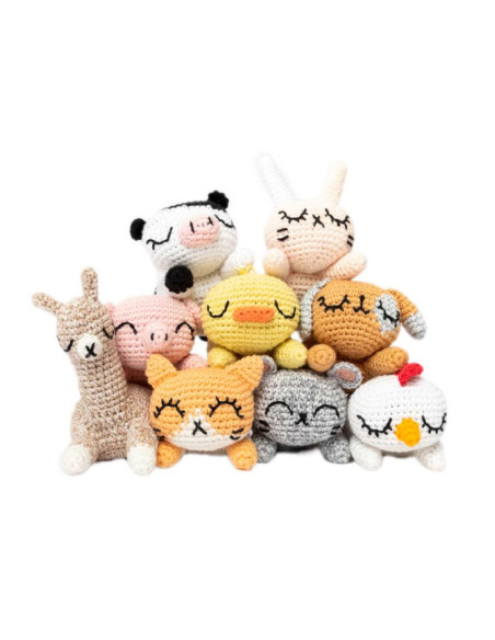 Libro Ricorumi Pocket Pals