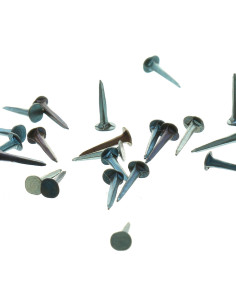 Semillas de tapicero de 14 mm