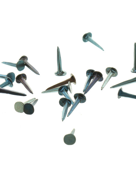 Semillas de tapicero de 14 mm