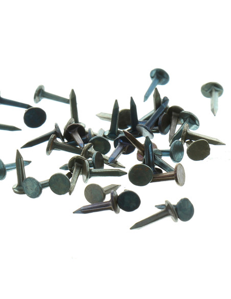 Semillas de tapicero de 9 mm