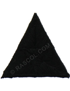 Parche termoadhesivo mosca - Negro