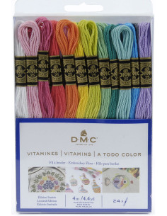 Paquete de 24 madejas de hilos para bordar mouliné DMC - Los vitaminados