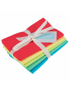 Lote de 5 cupones Fat Quarter - Brights