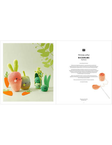 Libro Ricorumi Fresh Friends