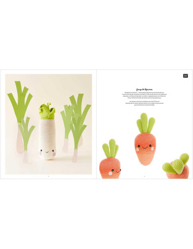 Libro Ricorumi Fresh Friends