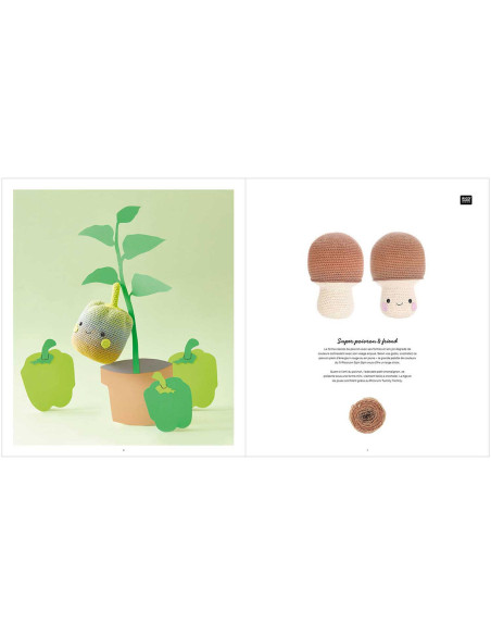 Libro Ricorumi Fresh Friends