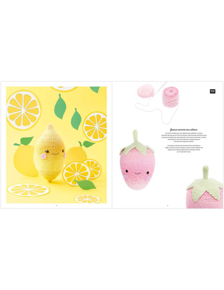 Libro Ricorumi Fresh Friends