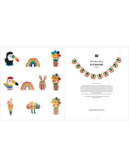 Libro Ricorumi Rainbow