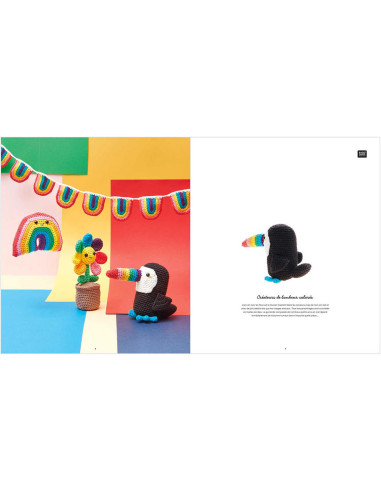 Libro Ricorumi Rainbow