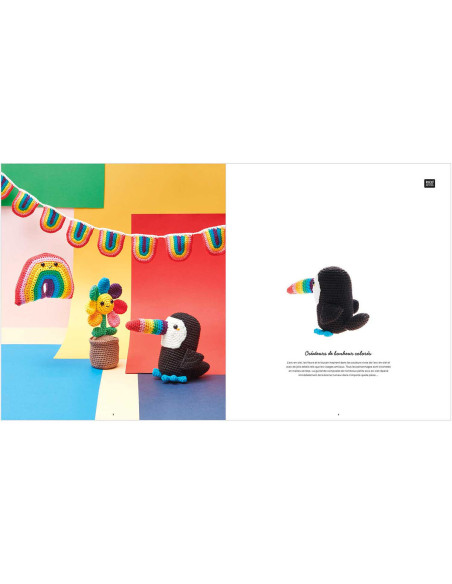 Libro Ricorumi Rainbow