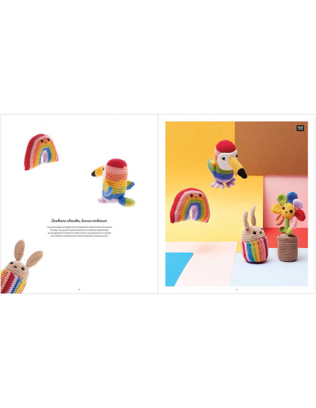 Libro Ricorumi Rainbow