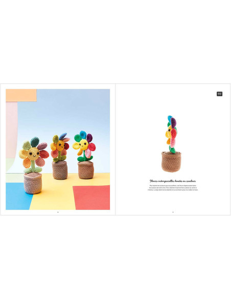 Libro Ricorumi Rainbow