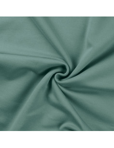 Tela de sudadera - Verde grisáceo