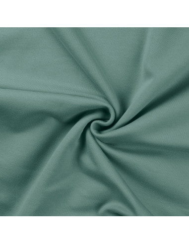 Tela de sudadera - Verde grisáceo