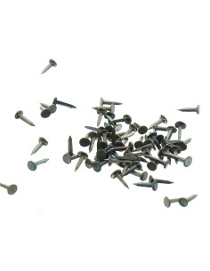 Semillas de tapicero de 7 mm