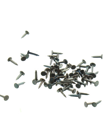 Semillas de tapicero de 7 mm