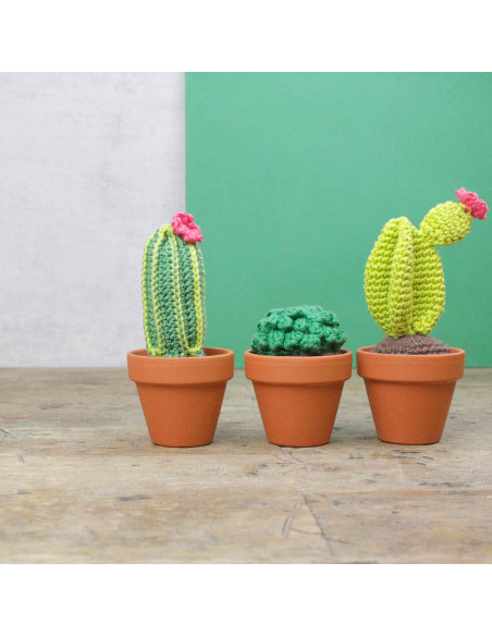 Kit de crochet - Cactus