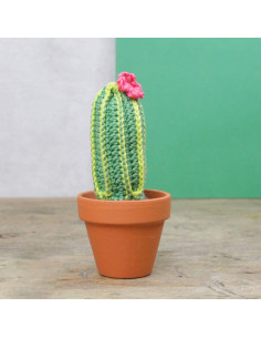 Kit de crochet - Cactus 2