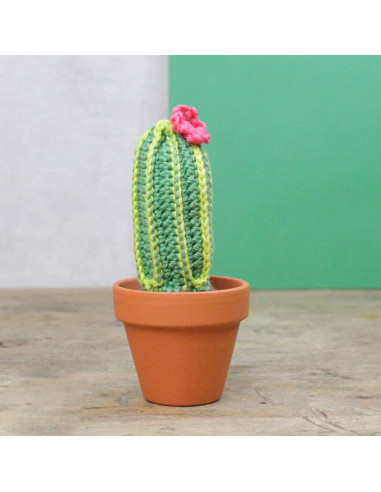 Kit de crochet - Cactus