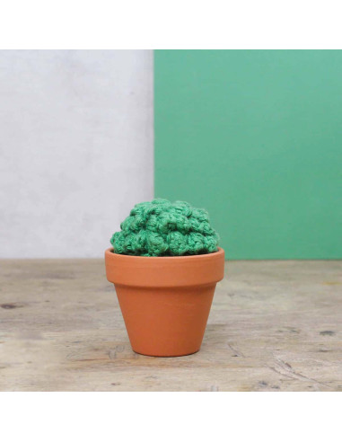 Kit de crochet - Cactus