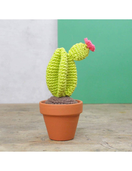 Kit de crochet - Cactus
