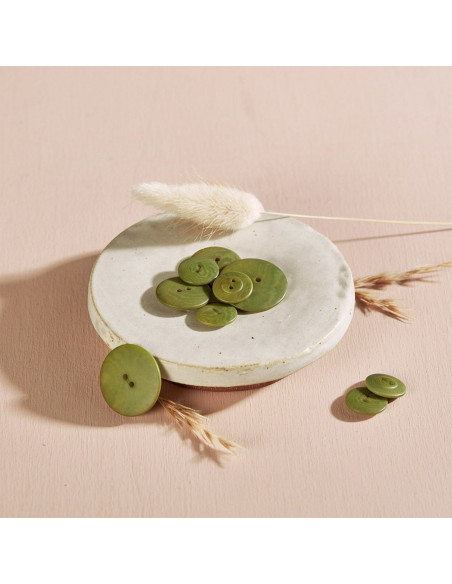 Botón Palm - Hoja de Matcha