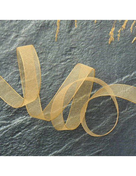 Cinta de organza - Beige