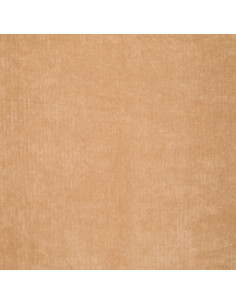 Tela de pana - Beige 2