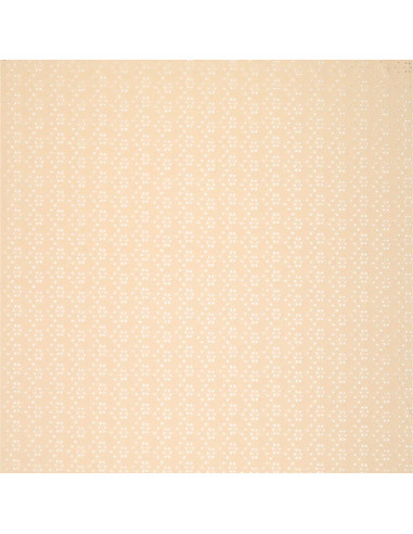 Tejido bordado inglés elástico - Beige claro