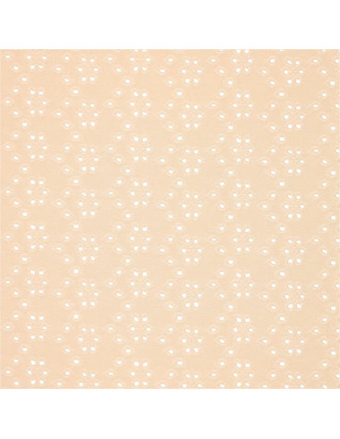Tejido bordado inglés elástico - Beige claro