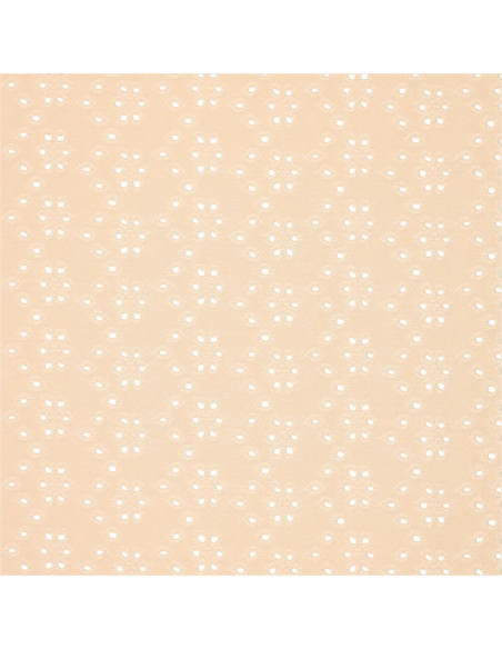 Tejido bordado inglés elástico - Beige claro
