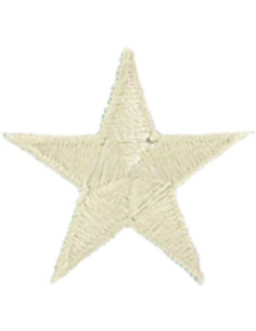 Parche termoadhesivo estrella beige
